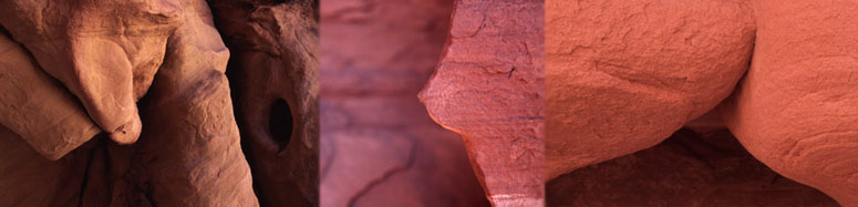 click to enter gallery